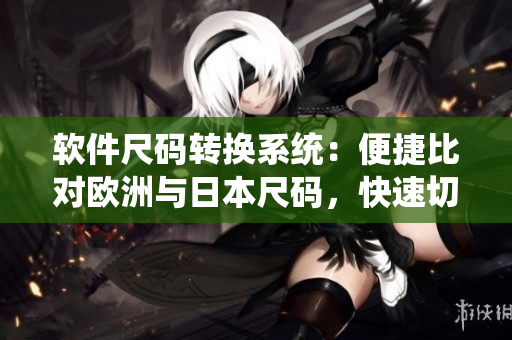 軟件尺碼轉(zhuǎn)換系統(tǒng)：便捷比對(duì)歐洲與日本尺碼，快速切換不同標(biāo)準(zhǔn)