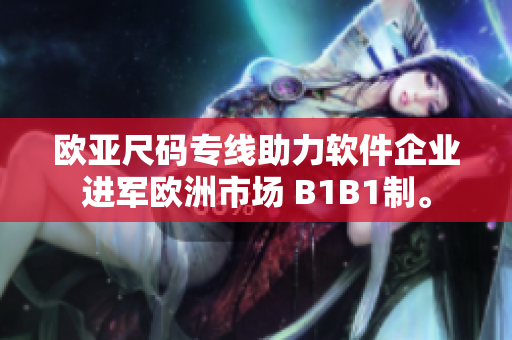 歐亞尺碼專線助力軟件企業(yè)進(jìn)軍歐洲市場(chǎng) B1B1制。