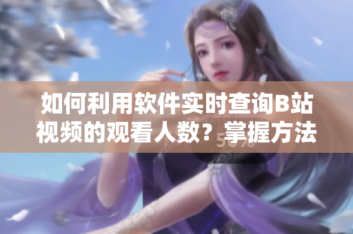 如何利用軟件實(shí)時(shí)查詢B站視頻的觀看人數(shù)？掌握方法，輕松觀測(cè)熱門(mén)視頻流量
