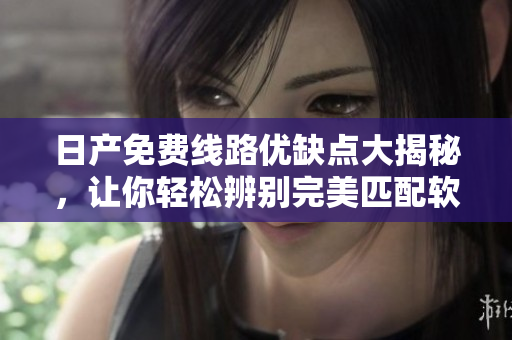 日產(chǎn)免費(fèi)線路優(yōu)缺點(diǎn)大揭秘，讓你輕松辨別完美匹配軟件需求