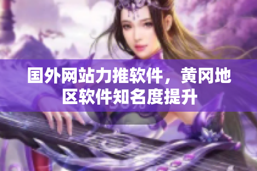 國外網(wǎng)站力推軟件，黃岡地區(qū)軟件知名度提升