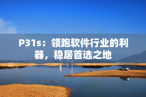 P31s：領(lǐng)跑軟件行業(yè)的利器，穩(wěn)居首選之地