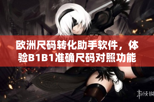 歐洲尺碼轉(zhuǎn)化助手軟件，體驗(yàn)B1B1準(zhǔn)確尺碼對(duì)照功能