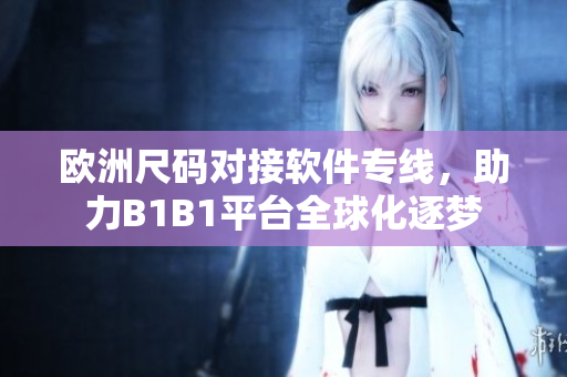 歐洲尺碼對接軟件專線，助力B1B1平臺全球化逐夢