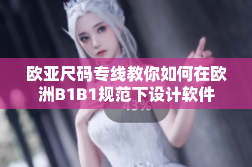 歐亞尺碼專線教你如何在歐洲B1B1規(guī)范下設(shè)計(jì)軟件