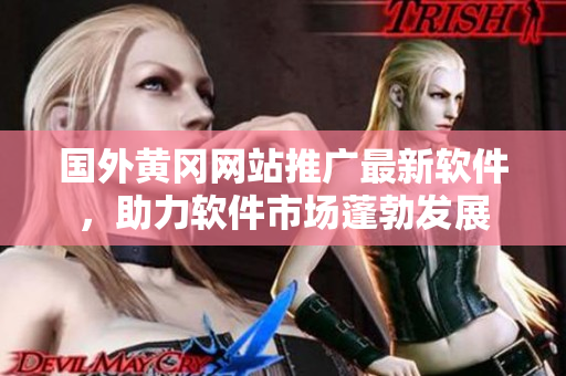 國外黃岡網(wǎng)站推廣最新軟件，助力軟件市場蓬勃發(fā)展