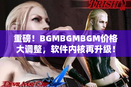 重磅！BGMBGMBGM價(jià)格大調(diào)整，軟件內(nèi)核再升級！