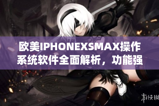 歐美IPHONEXSMAX操作系統(tǒng)軟件全面解析，功能強(qiáng)大體驗(yàn)卓越