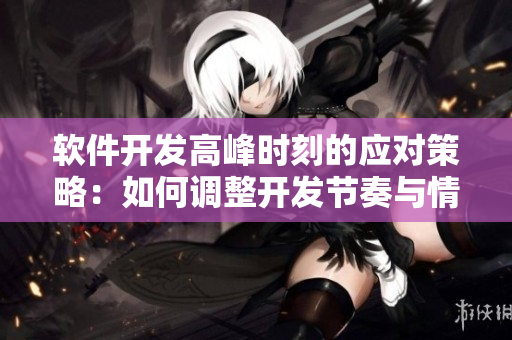 軟件開(kāi)發(fā)高峰時(shí)刻的應(yīng)對(duì)策略：如何調(diào)整開(kāi)發(fā)節(jié)奏與情緒管理