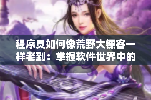 程序員如何像荒野大鏢客一樣老到：掌握軟件世界中的財富