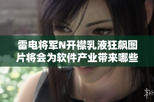 雷電將軍N開襟乳液狂飆圖片將會(huì)為軟件產(chǎn)業(yè)帶來哪些啟示？