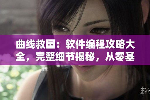 曲線救國：軟件編程攻略大全，完整細(xì)節(jié)揭秘，從零基礎(chǔ)到精通一步到位