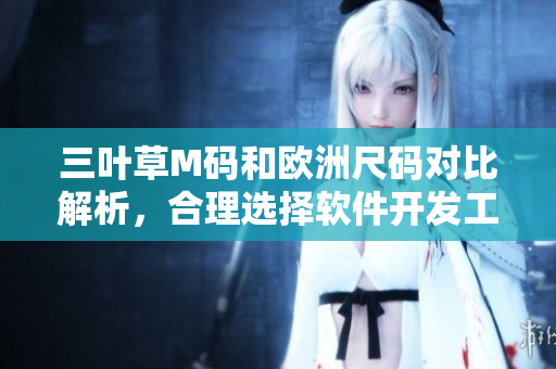 三葉草M碼和歐洲尺碼對比解析，合理選擇軟件開發(fā)工具