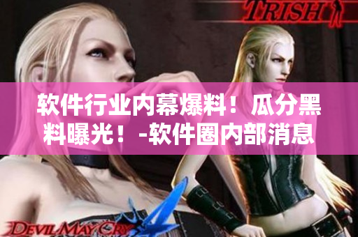 軟件行業(yè)內(nèi)幕爆料！瓜分黑料曝光！-軟件圈內(nèi)部消息揭秘