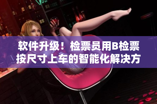軟件升級！檢票員用B檢票按尺寸上車的智能化解決方案