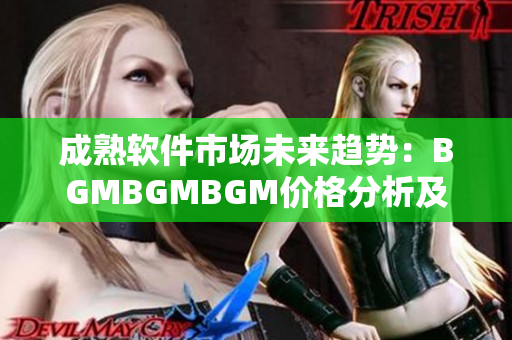 成熟軟件市場未來趨勢：BGMBGMBGM價(jià)格分析及發(fā)展前景
