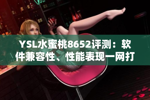 YSL水蜜桃8652評測：軟件兼容性、性能表現(xiàn)一網(wǎng)打盡
