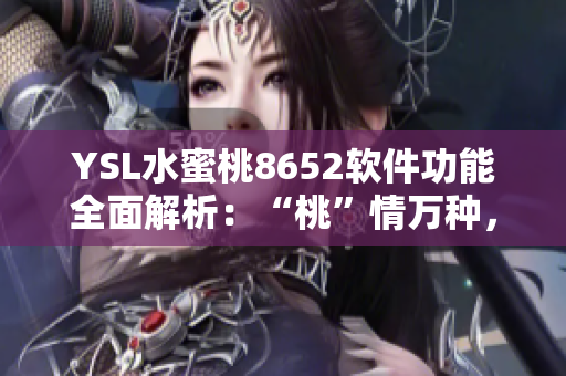 YSL水蜜桃8652軟件功能全面解析：“桃”情萬種，一圖看懂