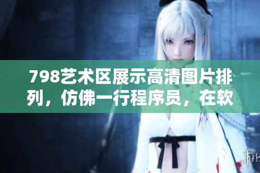 798藝術區(qū)展示高清圖片排列，仿佛一行程序員，在軟件世界中漫步