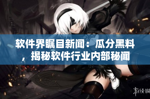 軟件界矚目新聞：瓜分黑料，揭秘軟件行業(yè)內(nèi)部秘聞