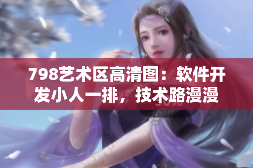 798藝術(shù)區(qū)高清圖：軟件開發(fā)小人一排，技術(shù)路漫漫