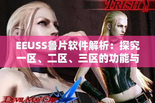EEUSS魯片軟件解析：探究一區(qū)、二區(qū)、三區(qū)的功能與應用