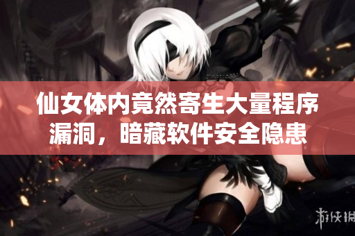 仙女體內(nèi)竟然寄生大量程序漏洞，暗藏軟件安全隱患
