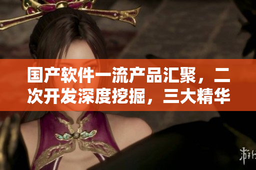 國產(chǎn)軟件一流產(chǎn)品匯聚，二次開發(fā)深度挖掘，三大精華液助力業(yè)務(wù)提升
