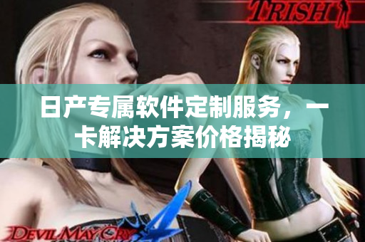 日產(chǎn)專屬軟件定制服務(wù)，一卡解決方案價格揭秘