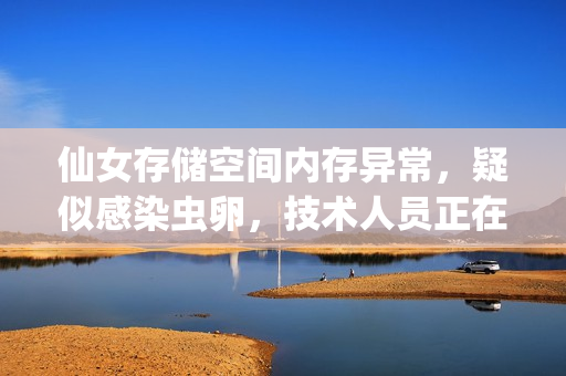 仙女存儲空間內(nèi)存異常，疑似感染蟲卵，技術人員正在緊急處理
