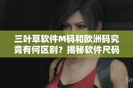 三葉草軟件M碼和歐洲碼究竟有何區(qū)別？揭秘軟件尺碼標(biāo)準(zhǔn)的奧秘