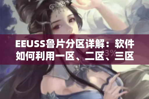 EEUSS魯片分區(qū)詳解：軟件如何利用一區(qū)、二區(qū)、三區(qū)提升效能