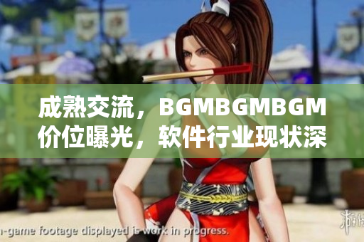 成熟交流，BGMBGMBGM價(jià)位曝光，軟件行業(yè)現(xiàn)狀深度分析