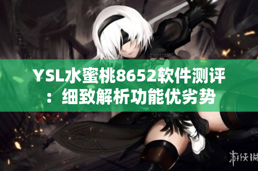 YSL水蜜桃8652軟件測評：細(xì)致解析功能優(yōu)劣勢