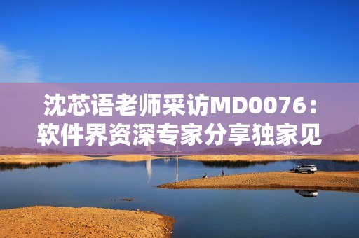 沈芯語老師采訪MD0076：軟件界資深專家分享獨家見解
