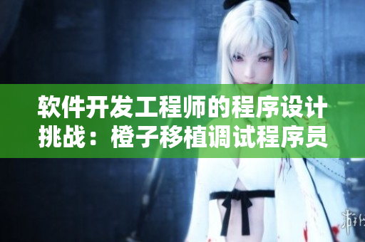 軟件開發(fā)工程師的程序設(shè)計(jì)挑戰(zhàn)：橙子移植調(diào)試程序員仿真游戲