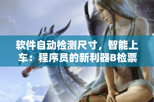 軟件自動檢測尺寸，智能上車：程序員的新利器B檢票