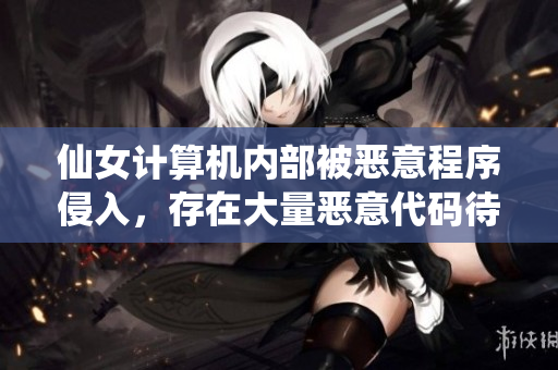仙女計(jì)算機(jī)內(nèi)部被惡意程序侵入，存在大量惡意代碼待清除