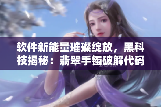 軟件新能量璀璨綻放，黑科技揭秘：翡翠手鐲破解代碼續(xù)篇