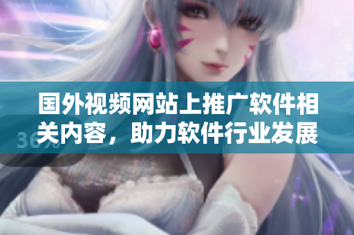 國外視頻網站上推廣軟件相關內容，助力軟件行業(yè)發(fā)展
