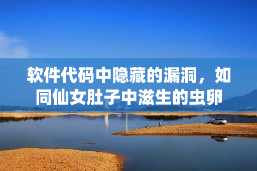 軟件代碼中隱藏的漏洞，如同仙女肚子中滋生的蟲卵