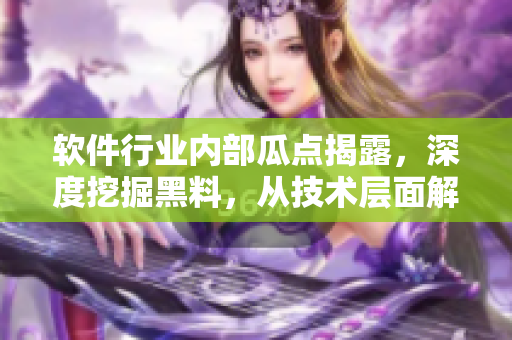軟件行業(yè)內(nèi)部瓜點(diǎn)揭露，深度挖掘黑料，從技術(shù)層面解析，探索萬里長征