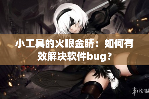 小工具的火眼金睛：如何有效解決軟件bug？