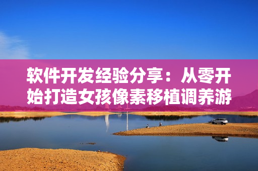 軟件開發(fā)經(jīng)驗分享：從零開始打造女孩像素移植調養(yǎng)游戲
