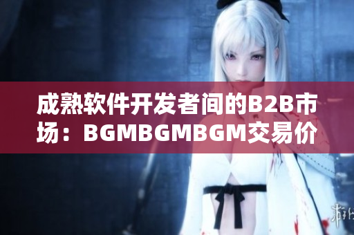 成熟軟件開發(fā)者間的B2B市場(chǎng)：BGMBGMBGM交易價(jià)格揭秘