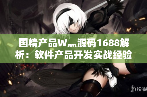 國精產(chǎn)品W灬源碼1688解析：軟件產(chǎn)品開發(fā)實(shí)戰(zhàn)經(jīng)驗(yàn)分享