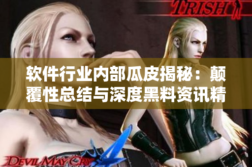 軟件行業(yè)內(nèi)部瓜皮揭秘：顛覆性總結與深度黑料資訊精選