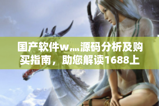 國產(chǎn)軟件w灬源碼分析及購買指南，助您解讀1688上的獨家軟件產(chǎn)品