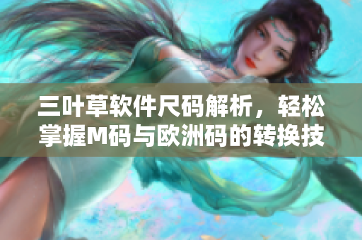 三葉草軟件尺碼解析，輕松掌握M碼與歐洲碼的轉(zhuǎn)換技巧