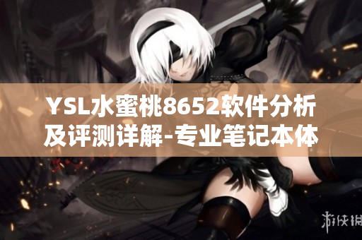 YSL水蜜桃8652軟件分析及評(píng)測(cè)詳解-專(zhuān)業(yè)筆記本體驗(yàn)分享